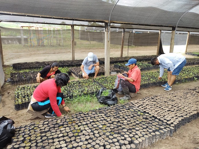 
QUINTA ELENA SE SUMA A PROYECTO DE REFORESTACIÓN CON LABORES DE FAENA EN VIVERO AHUASHIYACU
