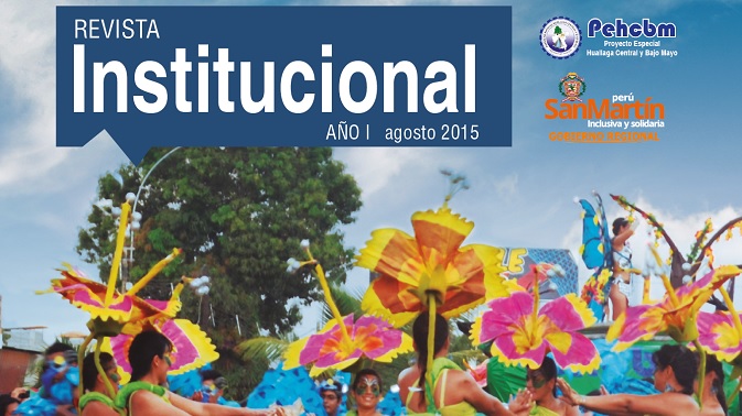 Revista Institucional 2015